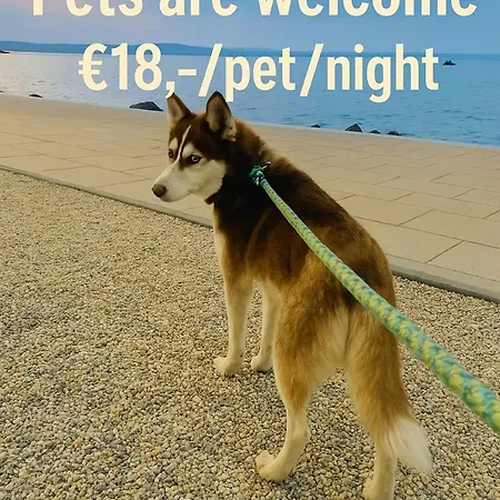 Pentz House Appartement Siófok