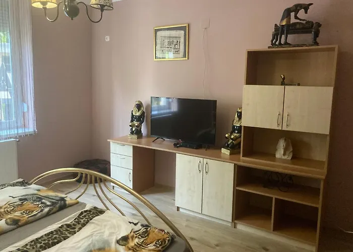 Pentz House דירה שיופוק