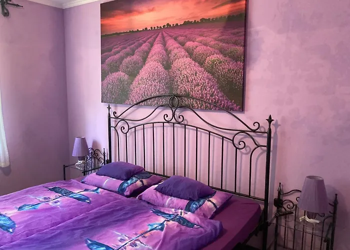 Pentz House שיופוק