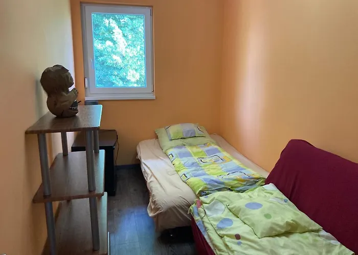 Pentz House דירה שיופוק