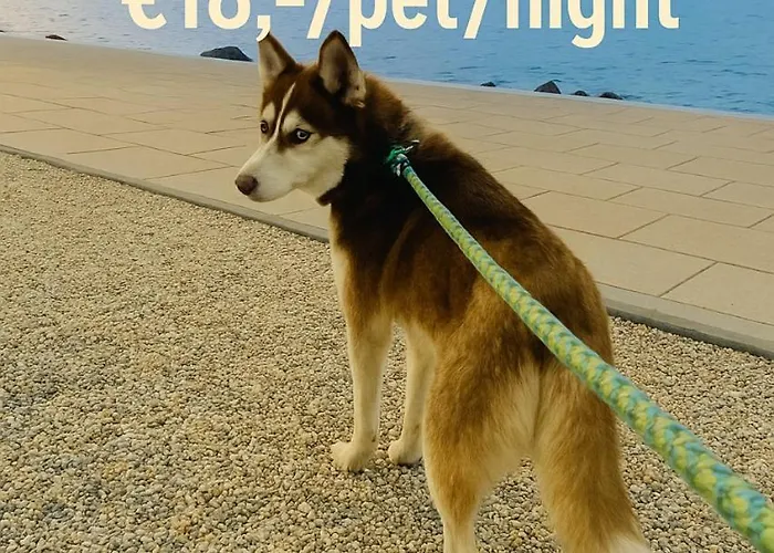 Pentz House Appartement Siófok